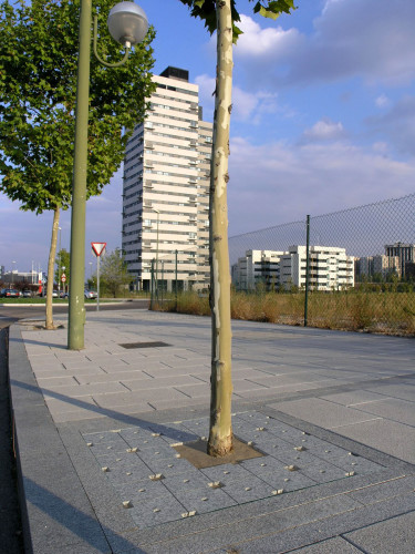 Entourage arbre BARREIRO