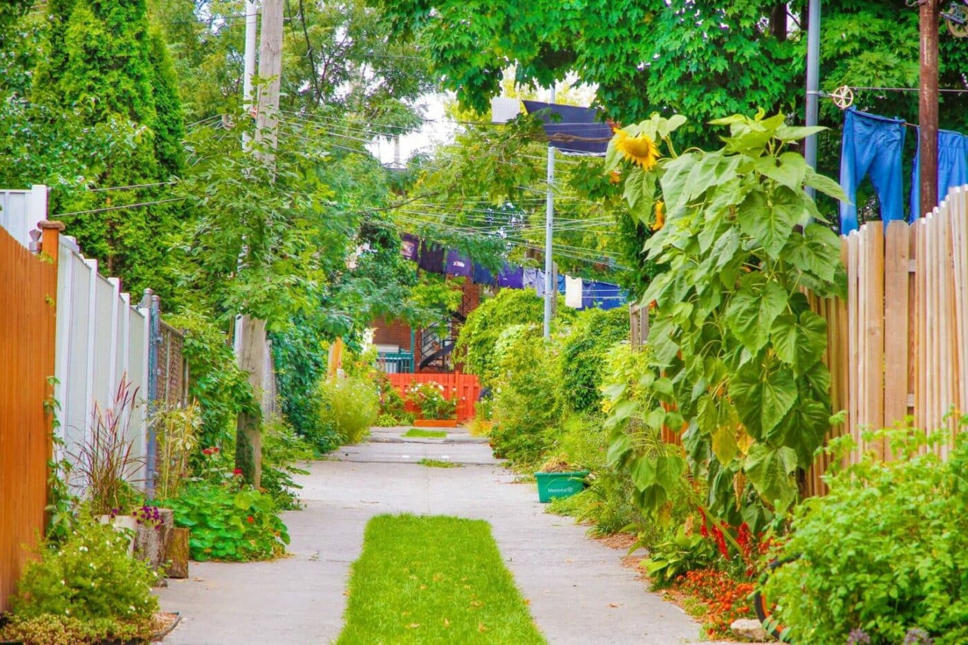 24h.ca, Montréal- quartier Rosemont-La-Petite-Patrie
