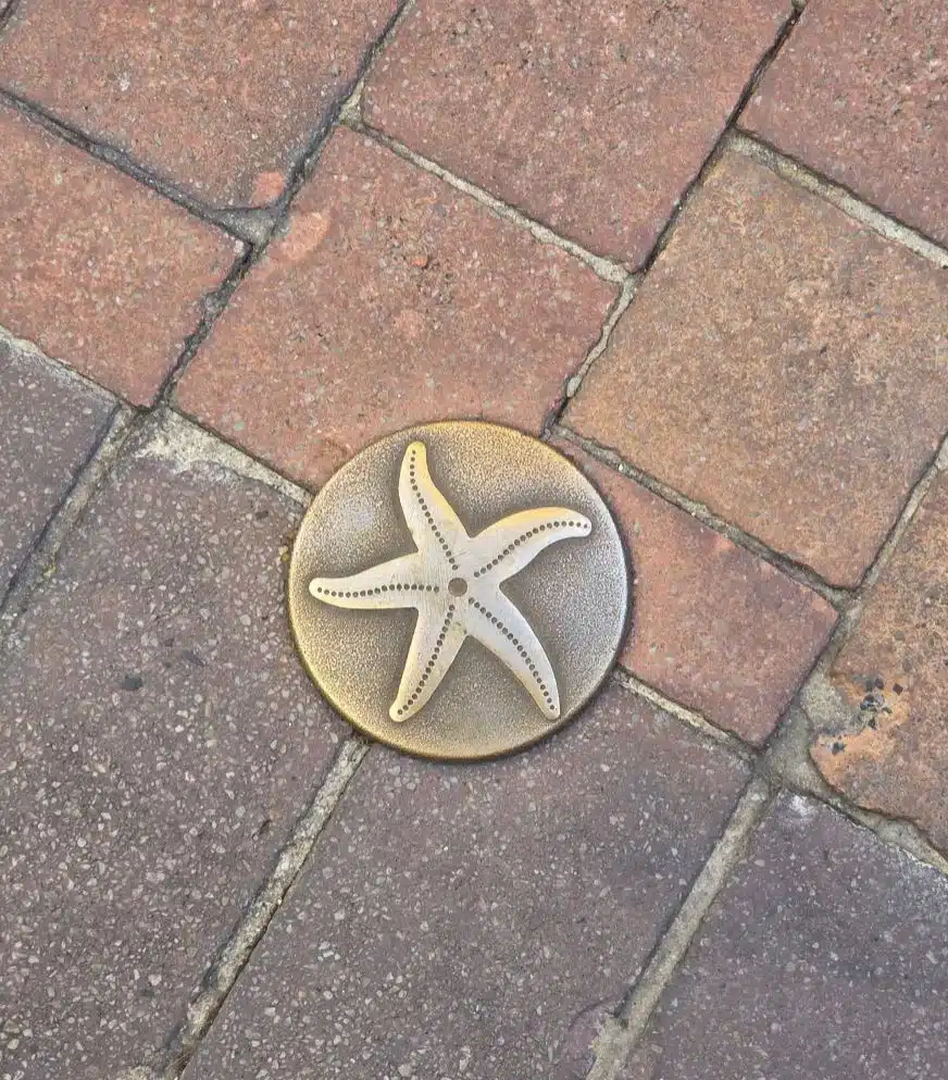 Clou en bronze Seyne suer Mer